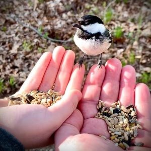 Meet your Posher, Jim